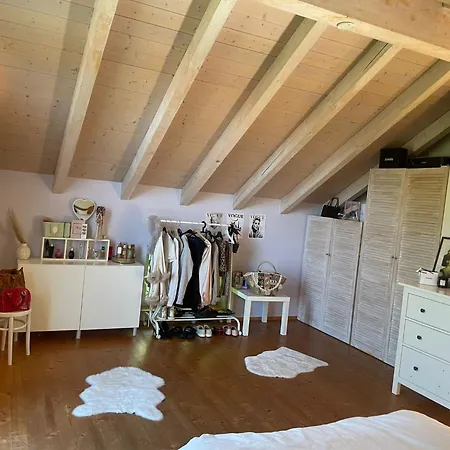 Pur! * Nieder-Olm (Rhineland-Palatinate)